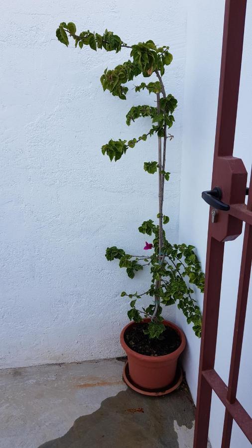 Guaro Casa De Puebloヴィラ エクステリア 写真